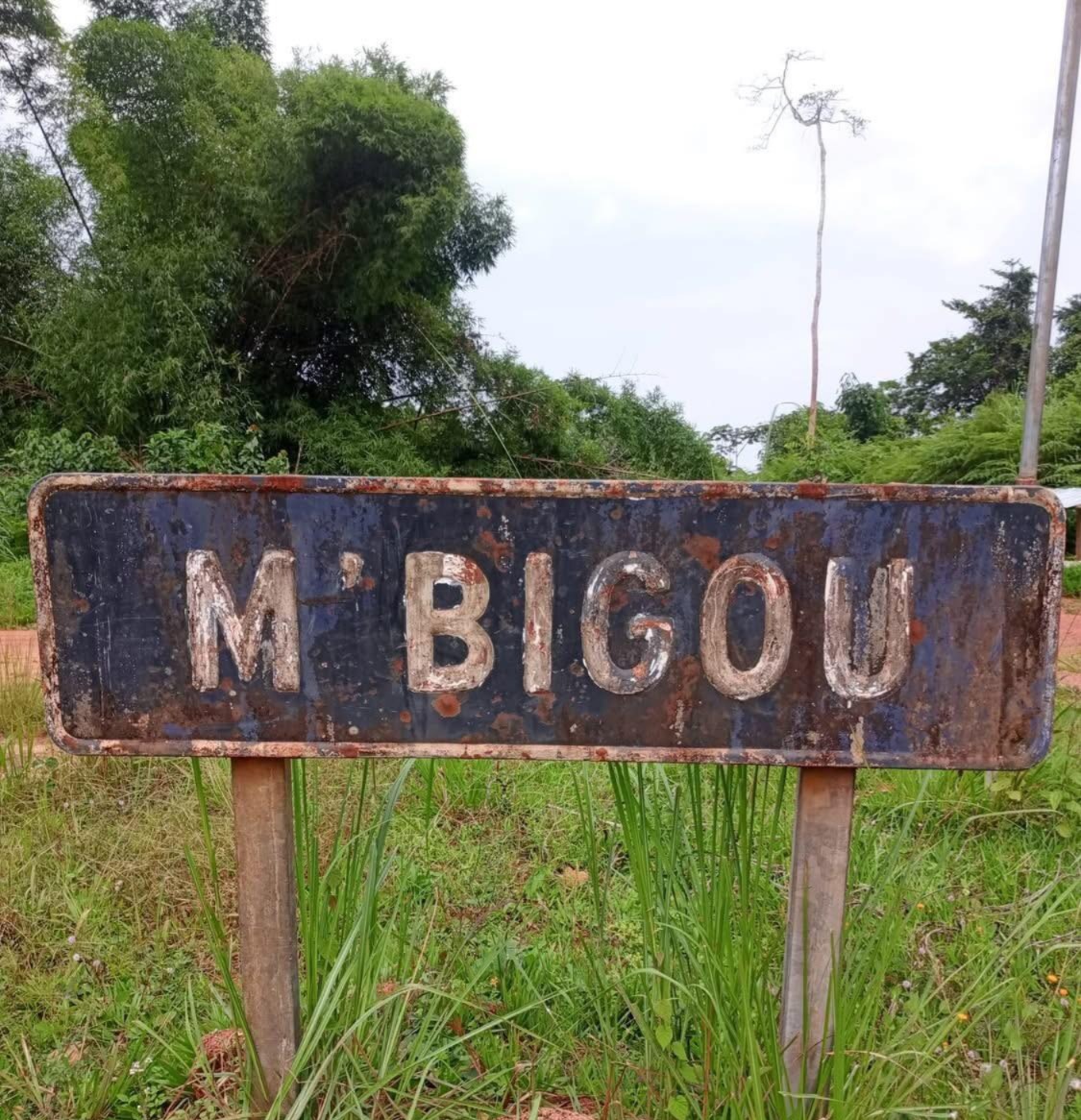 Custom Alternative Text